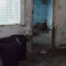 Click Here To View Larger Image